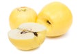 Apple-quince (Cydonia)