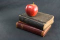 Apple and readers vertical Royalty Free Stock Photo