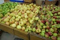 Apple red green on the shelf in the store Royalty Free Stock Photo