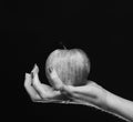 Apple in red and orange color on girls palm. Royalty Free Stock Photo