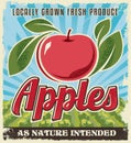 Apple retro vintage crate label design Royalty Free Stock Photo