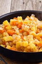 Apple and root vegetable hash Royalty Free Stock Photo