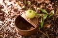 Photo of apple on a rusty can