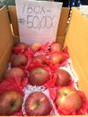 Apple for sale