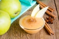 Apple sauce with cinnamon Royalty Free Stock Photo