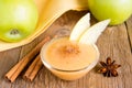 Apple sauce with cinnamon Royalty Free Stock Photo