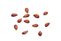 Apple seeds isolated on whtie Royalty Free Stock Photo