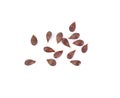 Apple Seeds On White Background.