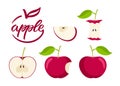 Apple set. Flat icon red Apple fruit with leaf, bitten, cut, core, label. Farmer Market Logo. Organic food eco template Royalty Free Stock Photo