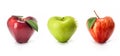Apple in the shape of heart. Royalty Free Stock Photo