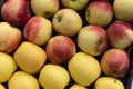Apple showcase at the farmers market
