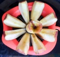 Apple shown beautifully in apple cutter looks like flower shape and it tempts to eat in black background Royalty Free Stock Photo