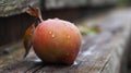 an apple sitting on a wooden bench with water droplets on it\'s skin and a leaf sticking out of the top of the apple Royalty Free Stock Photo