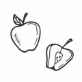 Apple slice and full apple. Black line fruits illustration set. Graphic vector sketch in hand drawn style. Fresh tropical elements Royalty Free Stock Photo