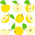 Apple slices, collection of illustrations