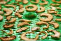 Apple slices on the special dehydrator device