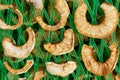 Apple slices on the special dehydrator device