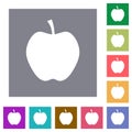 Apple solid square flat icons