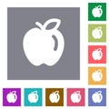 Apple solid square flat icons