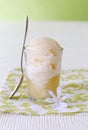 Apple sorbet Royalty Free Stock Photo