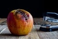 Apple with stapler Royalty Free Stock Photo
