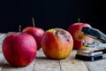 Apple with stapler Royalty Free Stock Photo