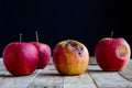 Apple with stapler Royalty Free Stock Photo