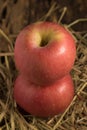 apple. straw. on wood Royalty Free Stock Photo