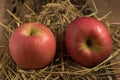 apple. straw. on wood Royalty Free Stock Photo