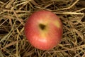 apple. straw. on wood