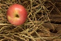 apple. straw. on wood Royalty Free Stock Photo