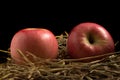 apple. straw. on wood. black background