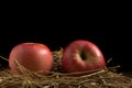 apple. straw. on wood. black background