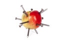 Apple stuck with lots of iron nails isolated