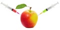 Apple stuck with syringe, Concept of genetic modification of fruits Royalty Free Stock Photo