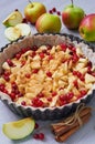 Apple tart in the baking dish decorated with fresh apples, cranberry, cinnamon sticks on the gray kitchen background Royalty Free Stock Photo