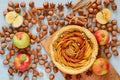 Apple tart on the wooden board decorated with fresh apples, hazelnuts and spices - anise stars and cinnamon on the gray table Royalty Free Stock Photo