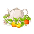 Apple tea illustration