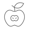 Apple thin line icon, summer time concept, Sliced apple fruit sign on white background, Apple half icon in outline style