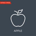 Apple Thin Line Vector Icon