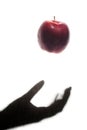Apple Thrown by a Shadow Hand Royalty Free Stock Photo