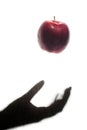 Apple Thrown by a Shadow Hand