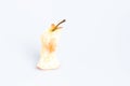 Apple torsel on White Background. Royalty Free Stock Photo