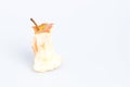 Apple torsel on White Background. Royalty Free Stock Photo