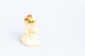 Apple torsel on White Background. Royalty Free Stock Photo