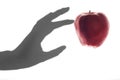 Apple Touched by a Shadow Hand