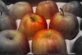 An apple tray full of apples partial black and white Royalty Free Stock Photo