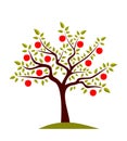 Apple tree