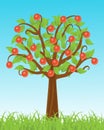 Apple tree Royalty Free Stock Photo