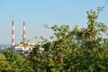 Apple tree against the factory pipes